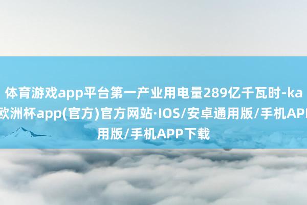 体育游戏app平台第一产业用电量289亿千瓦时-kaiyun欧洲杯app(官方)官方网站·IOS/安卓通用版/手机APP下载