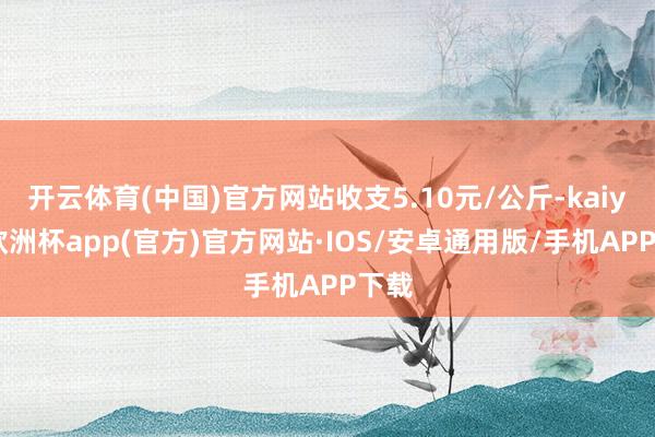 开云体育(中国)官方网站收支5.10元/公斤-kaiyun欧洲杯app(官方)官方网站·IOS/安卓通用版/手机APP下载