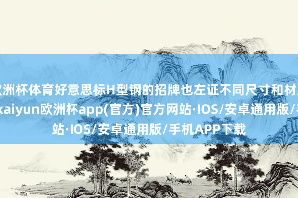 欧洲杯体育好意思标H型钢的招牌也左证不同尺寸和材质脾气来定名-kaiyun欧洲杯app(官方)官方网站·IOS/安卓通用版/手机APP下载