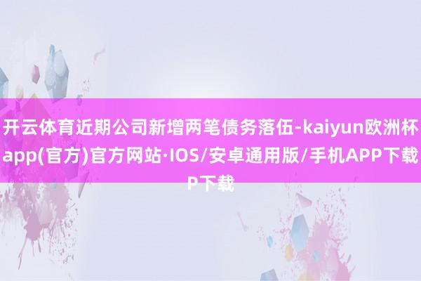 开云体育近期公司新增两笔债务落伍-kaiyun欧洲杯app(官方)官方网站·IOS/安卓通用版/手机APP下载