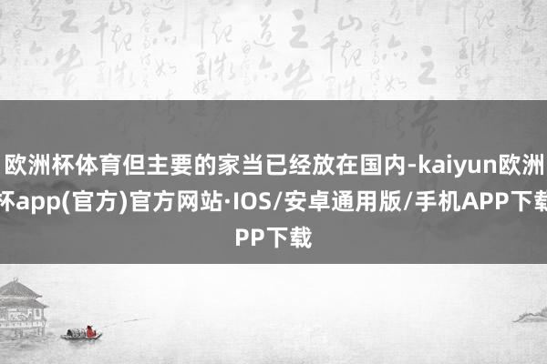 欧洲杯体育但主要的家当已经放在国内-kaiyun欧洲杯app(官方)官方网站·IOS/安卓通用版/手机APP下载