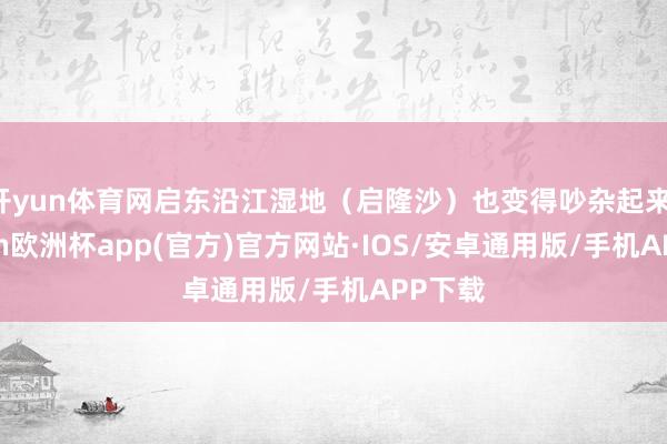 开yun体育网启东沿江湿地（启隆沙）也变得吵杂起来-kaiyun欧洲杯app(官方)官方网站·IOS/安卓通用版/手机APP下载