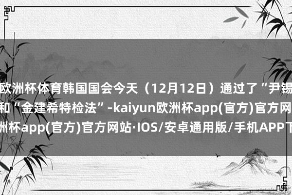 欧洲杯体育韩国国会今天（12月12日）通过了“尹锡悦内乱平庸特检法”和“金建希特检法”-kaiyun欧洲杯app(官方)官方网站·IOS/安卓通用版/手机APP下载